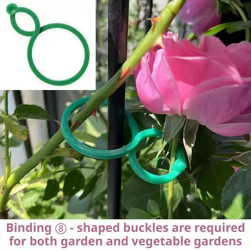 Vine Climbing Plastic - 100 Pezzi Clip di Supporto per