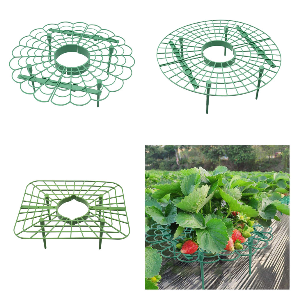 Vine Climbing Plastic - Supporto per telaio per supporto per