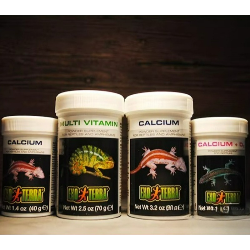 Calcium Powder Reptile - HAGEN Polvere di Calcio per Rettili