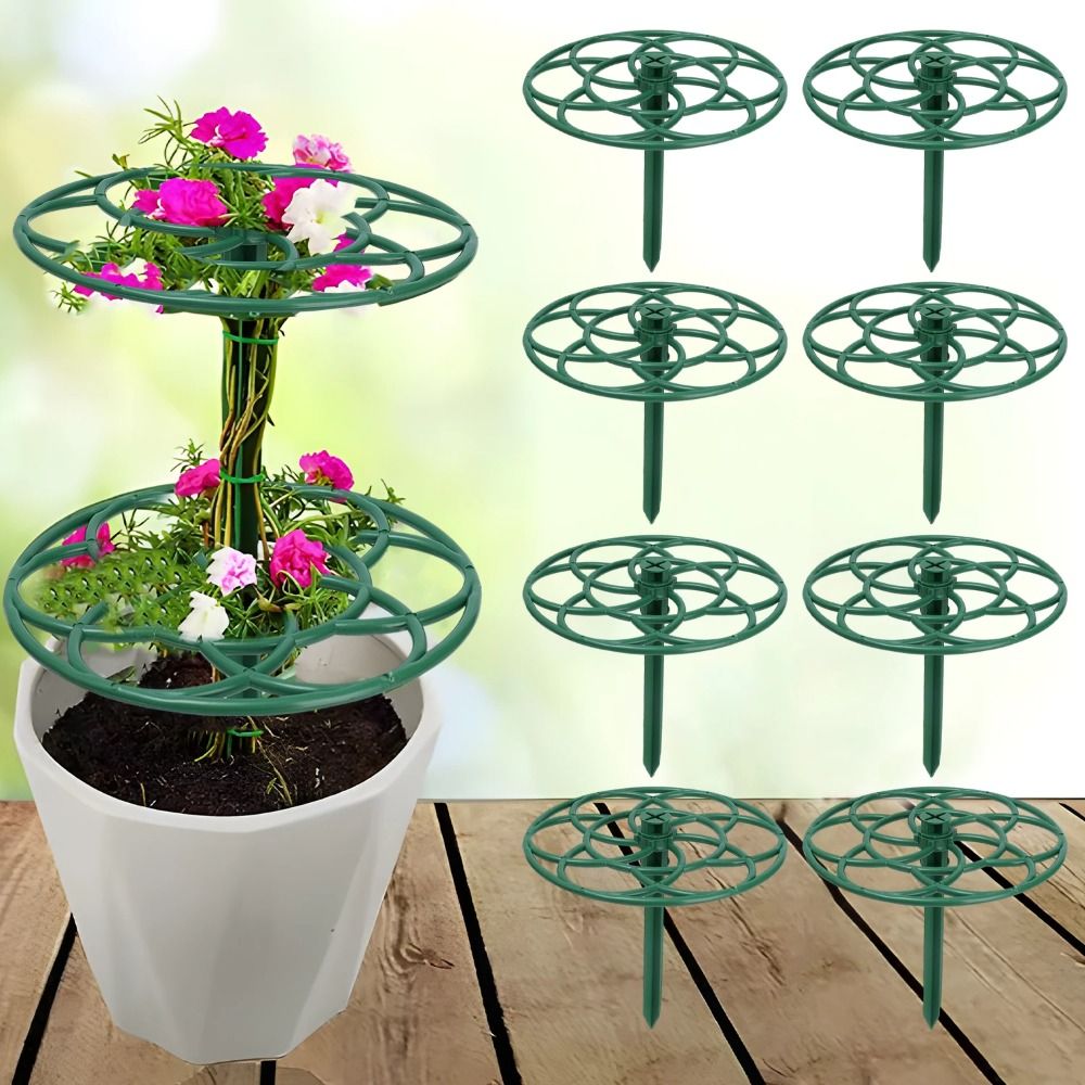 Vine Climbing Plastic - Supporto per Bonsai Durevole S/M/L, Struttura