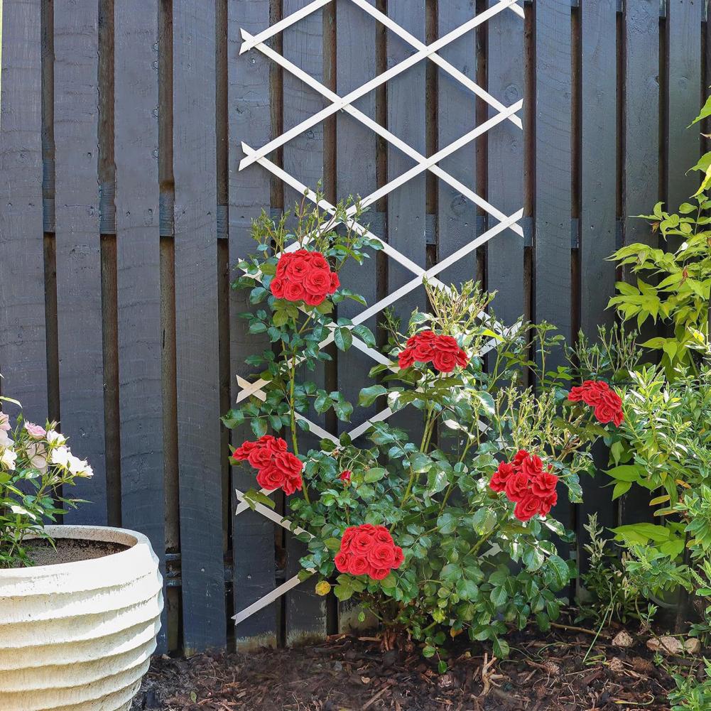 Vine Climbing Plastic - Traliccio da Giardino Espandibile 70 x