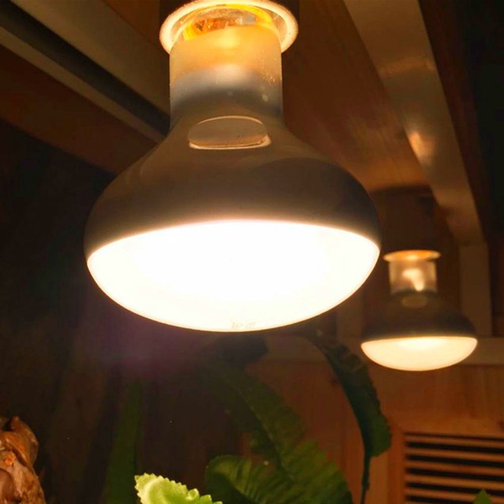 Basking Bulb Halogen - Regolatore di temperatura tartaruga Lampada di