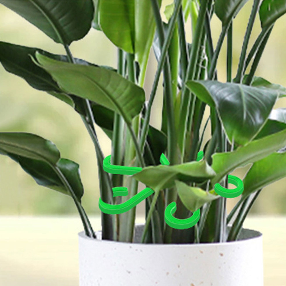 Vine Climbing Plastic - 12 Clip di Supporto per Piante