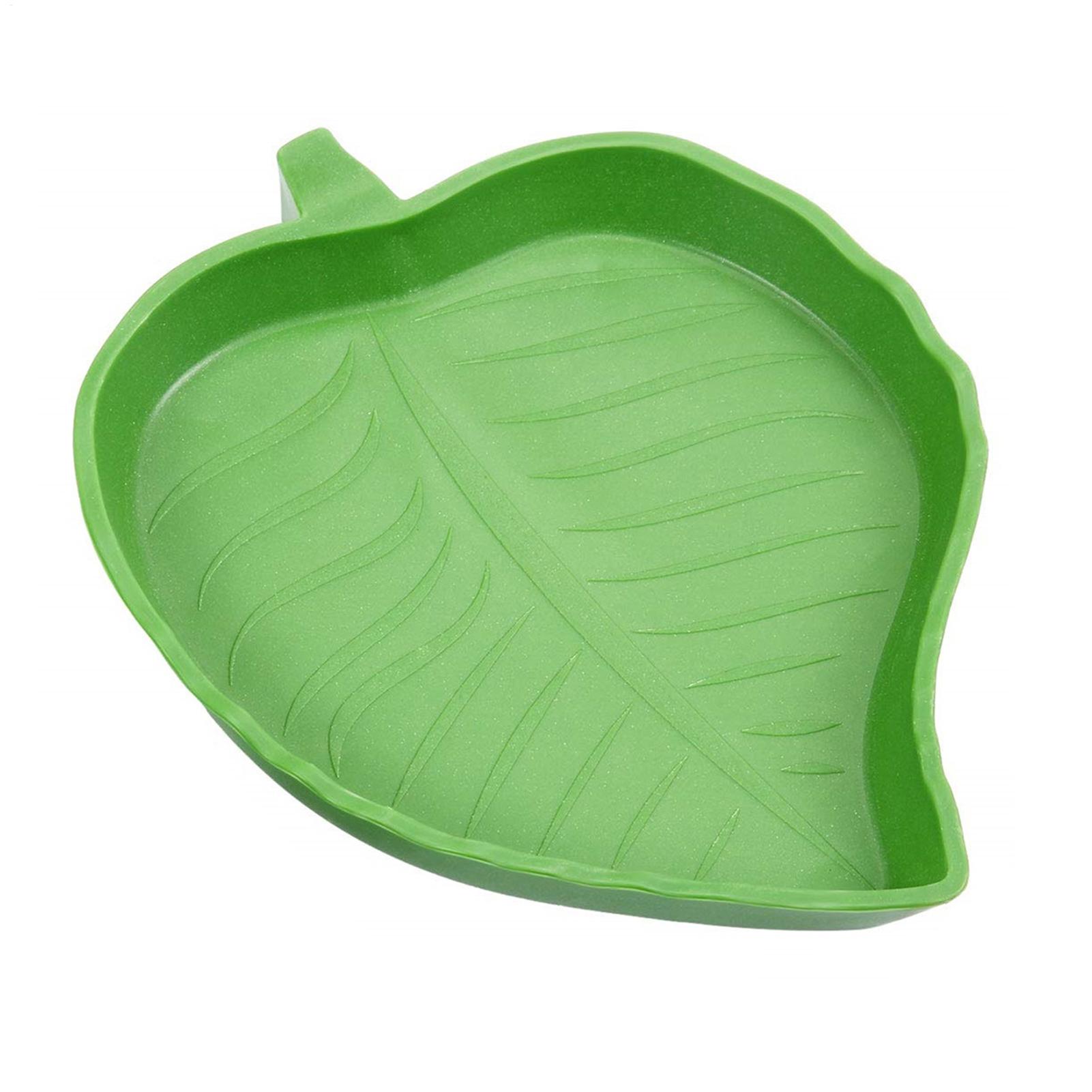Water Dish Reptile - Ciotola per cibo e acqua per
