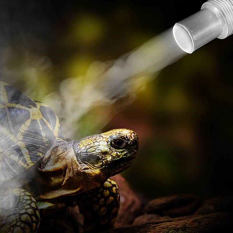 Umidificatore per terrari per  - Terrarium Fogger Ultrasonic recensione e prezzo