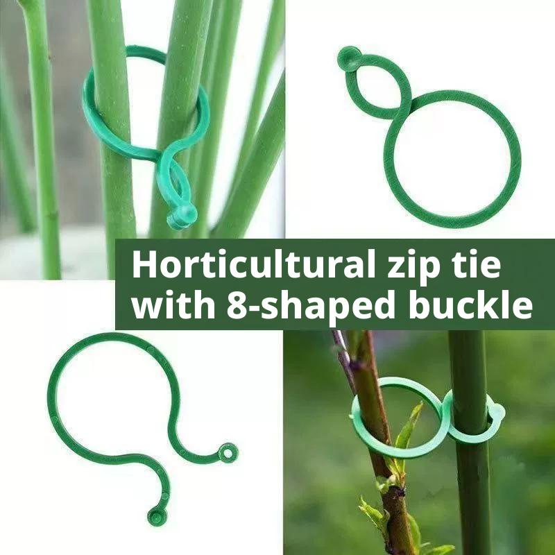 100 Pezzi Clip di Supporto per - Vine Climbing Plastic recensione e prezzo