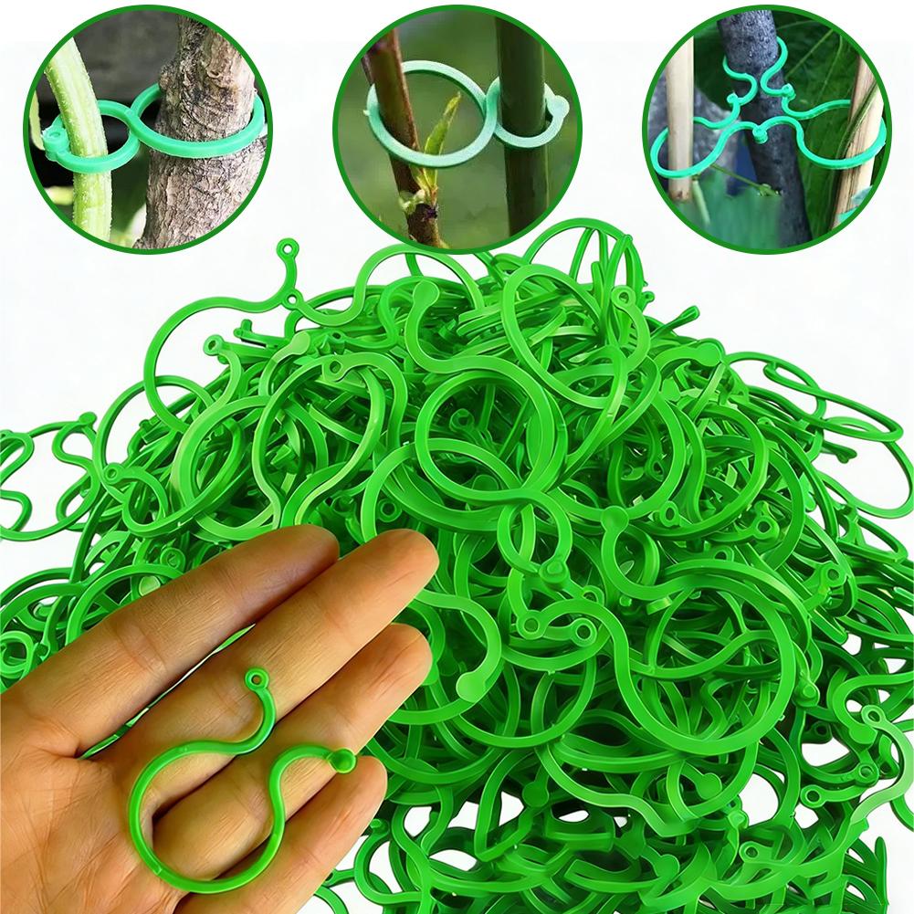 100 Pezzi Clip di Supporto per - Vine Climbing Plastic recensione e prezzo