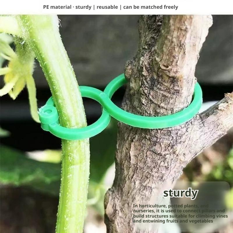 100 Pezzi Clip di Supporto per - Vine Climbing Plastic recensione e prezzo