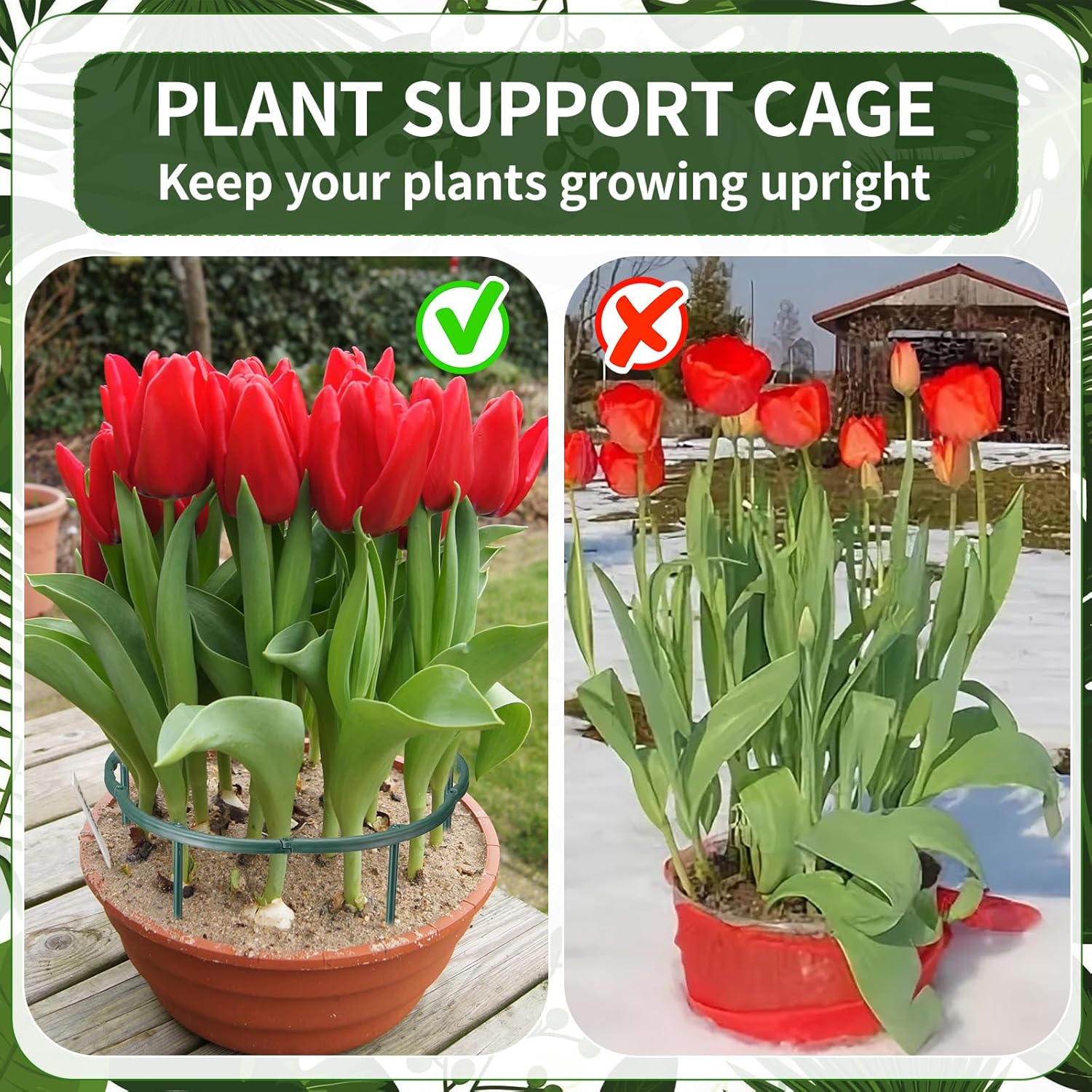 1/16 pz. Supporto per Piante,  - Vine Climbing Plastic recensione e prezzo