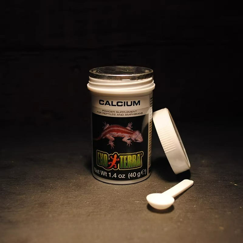 HAGEN Polvere di Calcio per Re - Calcium Powder Reptile recensione e prezzo