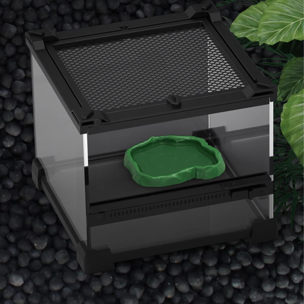Nuova Ciotola per Rettili in R - Water Dish Reptile recensione e prezzo