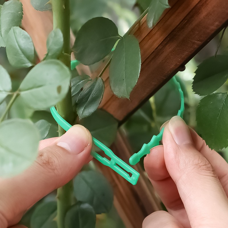Fascette Regolabili Riutilizza - Vine Climbing Plastic recensione e prezzo