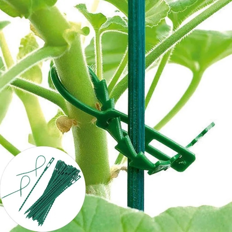 Fascette Regolabili Riutilizza - Vine Climbing Plastic recensione e prezzo