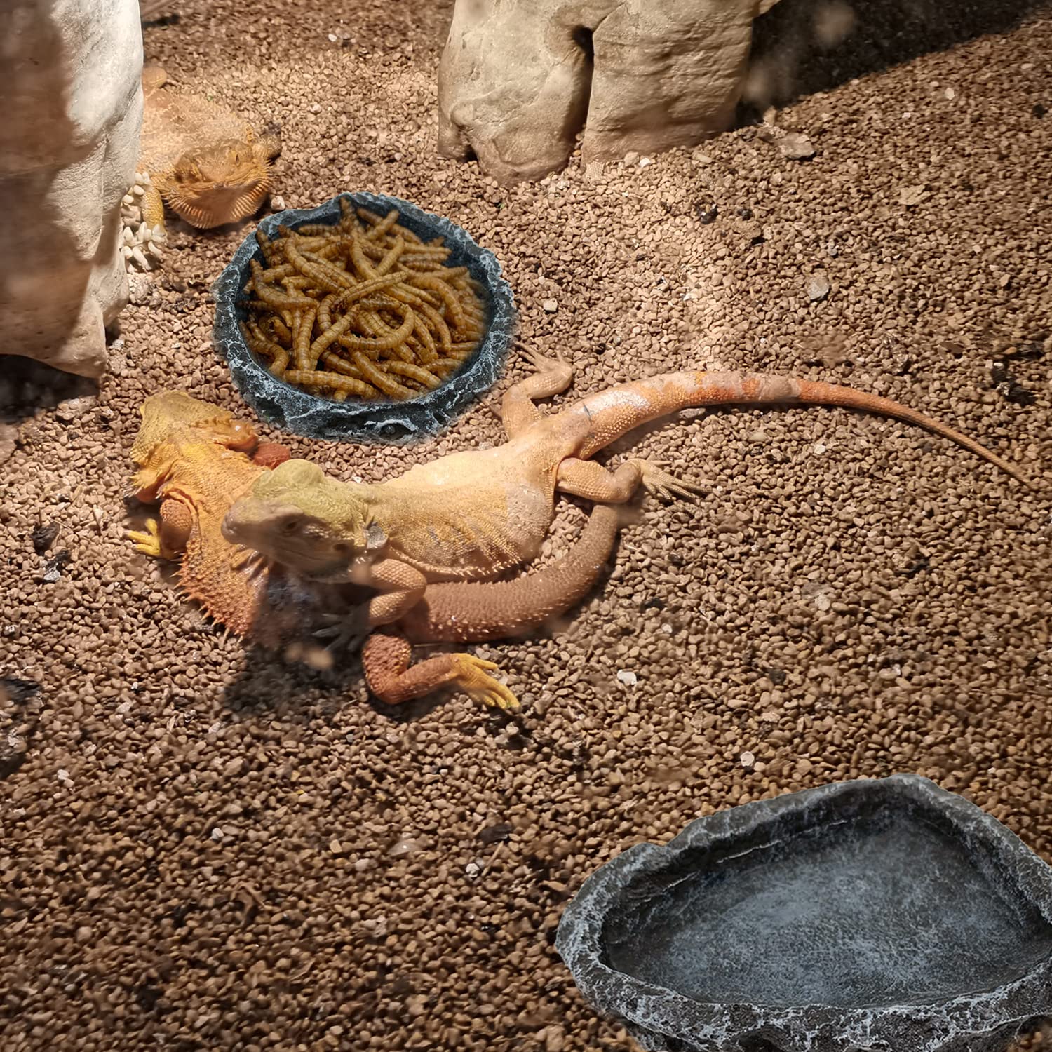 Ciotola Angolare per Rettili ( - Water Dish Reptile recensione e prezzo