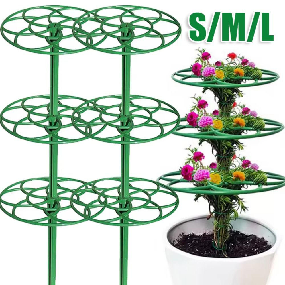 Supporto per Bonsai Durevole S - Vine Climbing Plastic recensione e prezzo