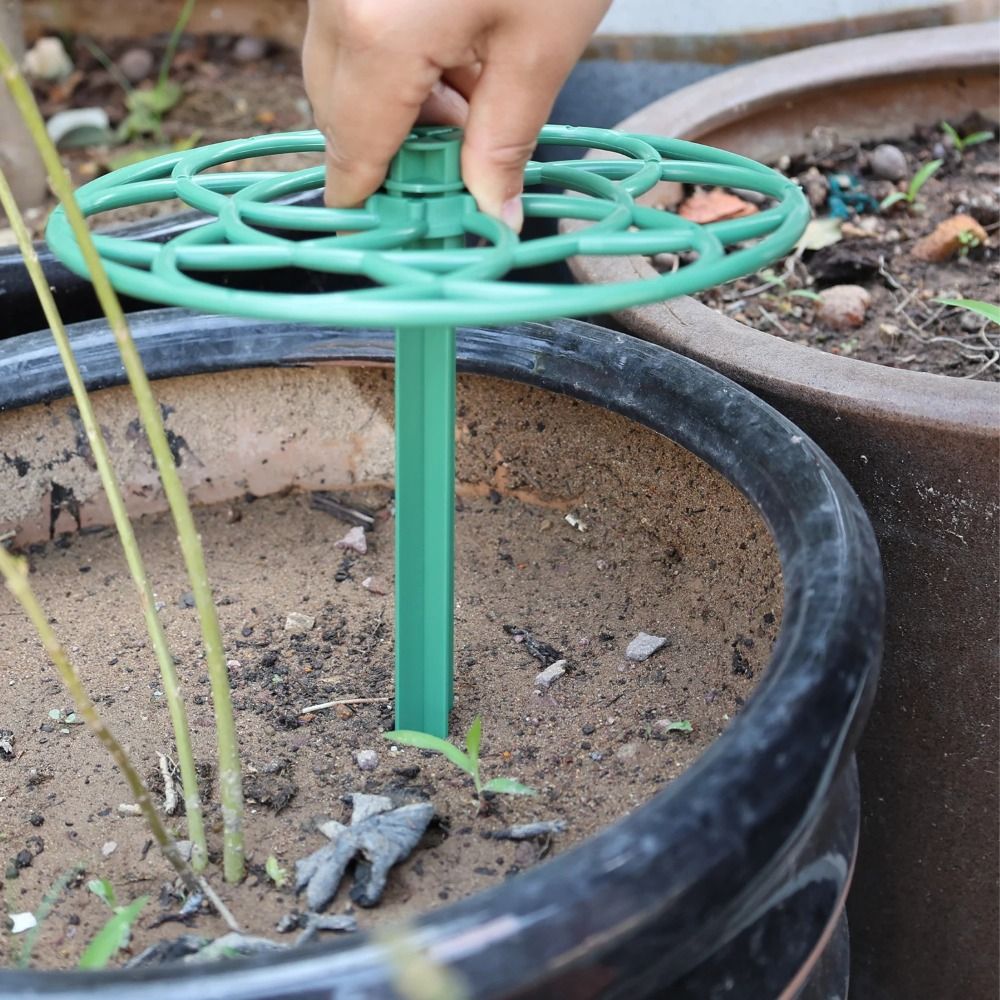 Supporto per Bonsai Durevole S - Vine Climbing Plastic recensione e prezzo