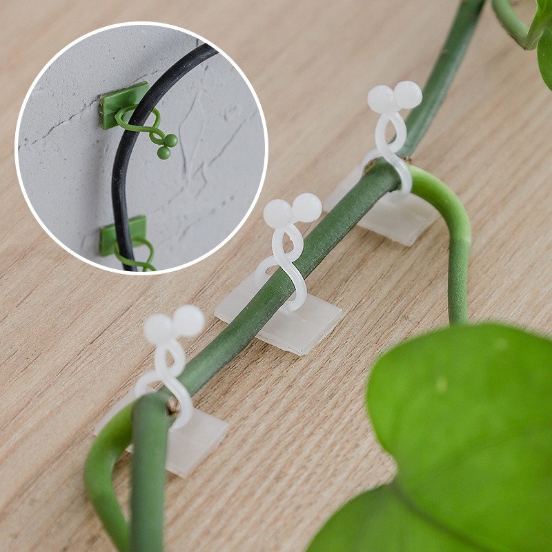 10 Pezzi Ganci Universali per  - Vine Climbing Plastic recensione e prezzo