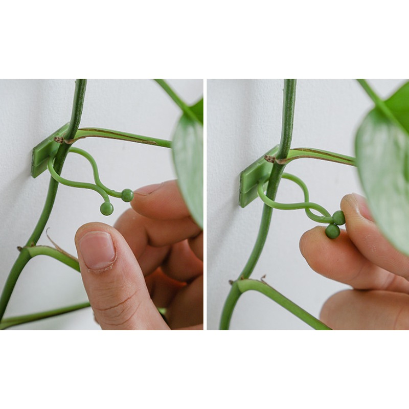 10 Pezzi Ganci Universali per  - Vine Climbing Plastic recensione e prezzo