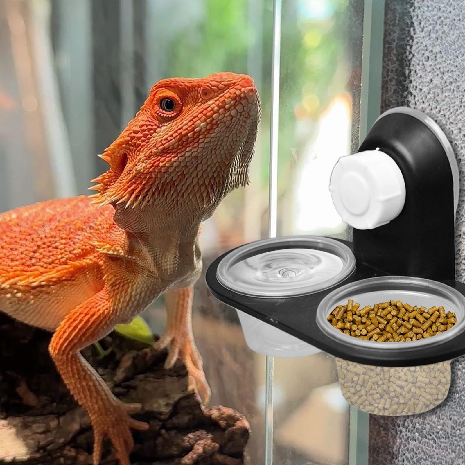 Ciotola per Alimenti per Gechi - Water Dish Reptile recensione e prezzo