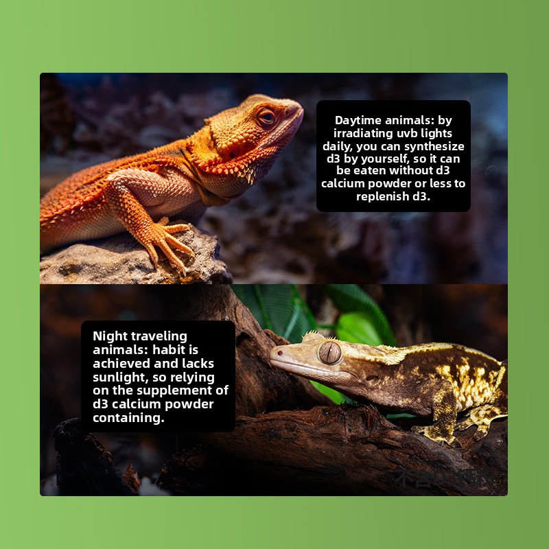 Reptizoo Polvere di calcio per - Calcium Powder Reptile recensione e prezzo