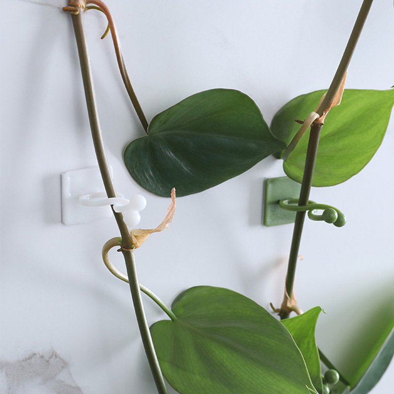 100 pz- Casa Giardino Pianta A - Vine Climbing Plastic recensione e prezzo