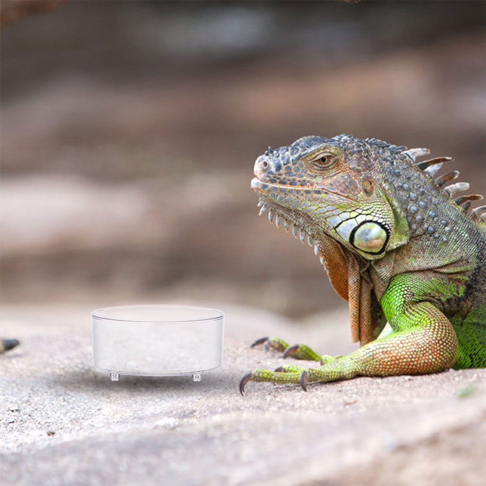 Set di 10 Ciotole in Acrilico  - Water Dish Reptile recensione e prezzo