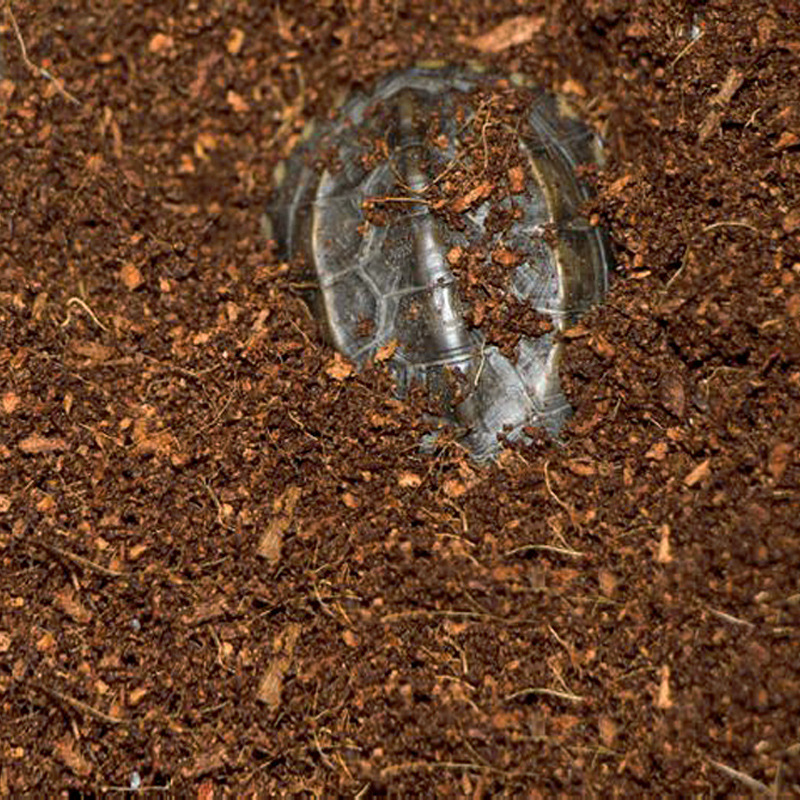 WAJABABY Mattone Coco Coir pro - Substrate Coconut Fiber recensione e prezzo
