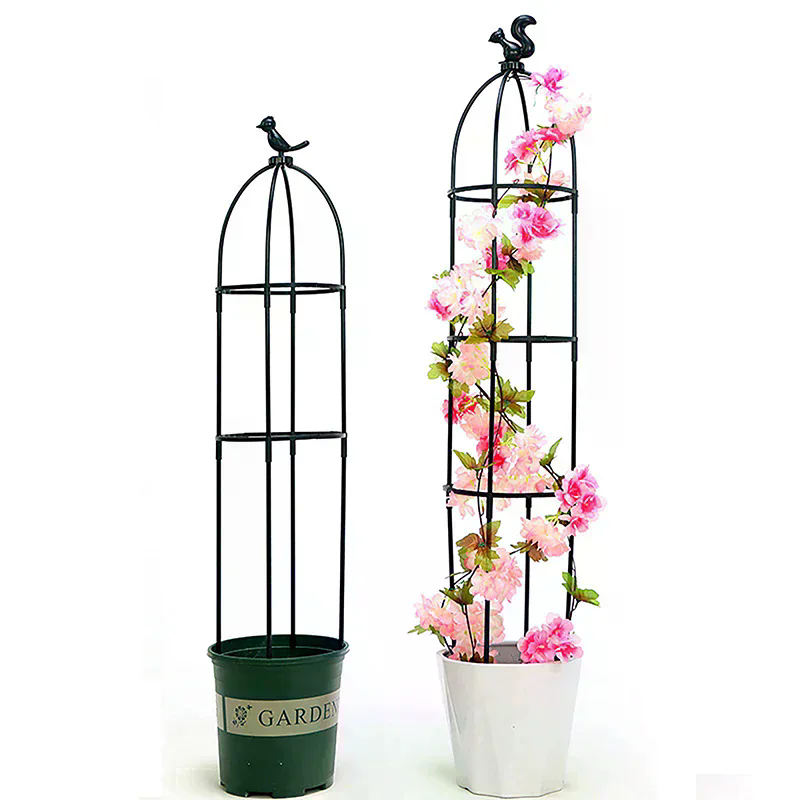 Set di tralicci per piante ram - Vine Climbing Plastic recensione e prezzo