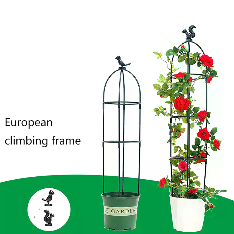 Set di tralicci per piante ram - Vine Climbing Plastic recensione e prezzo