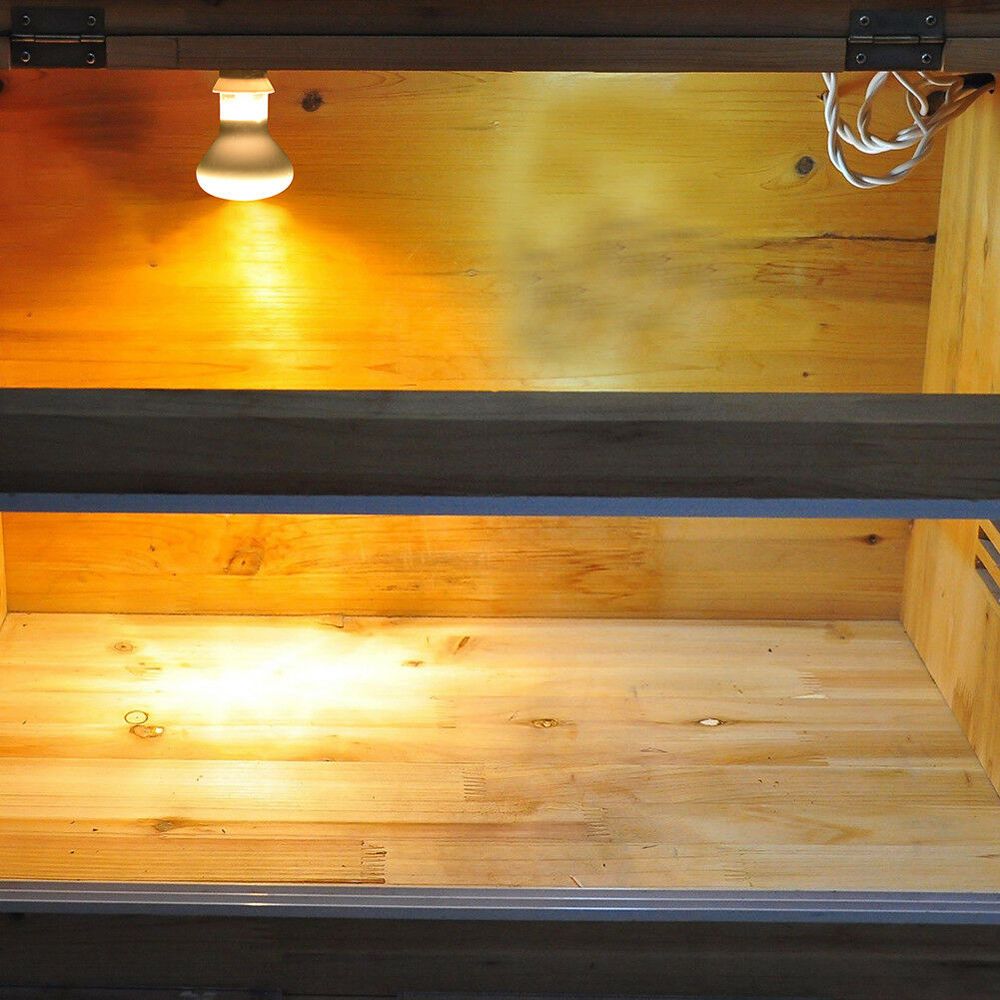 Regolatore di Temperatura per  - Basking Bulb Halogen recensione e prezzo