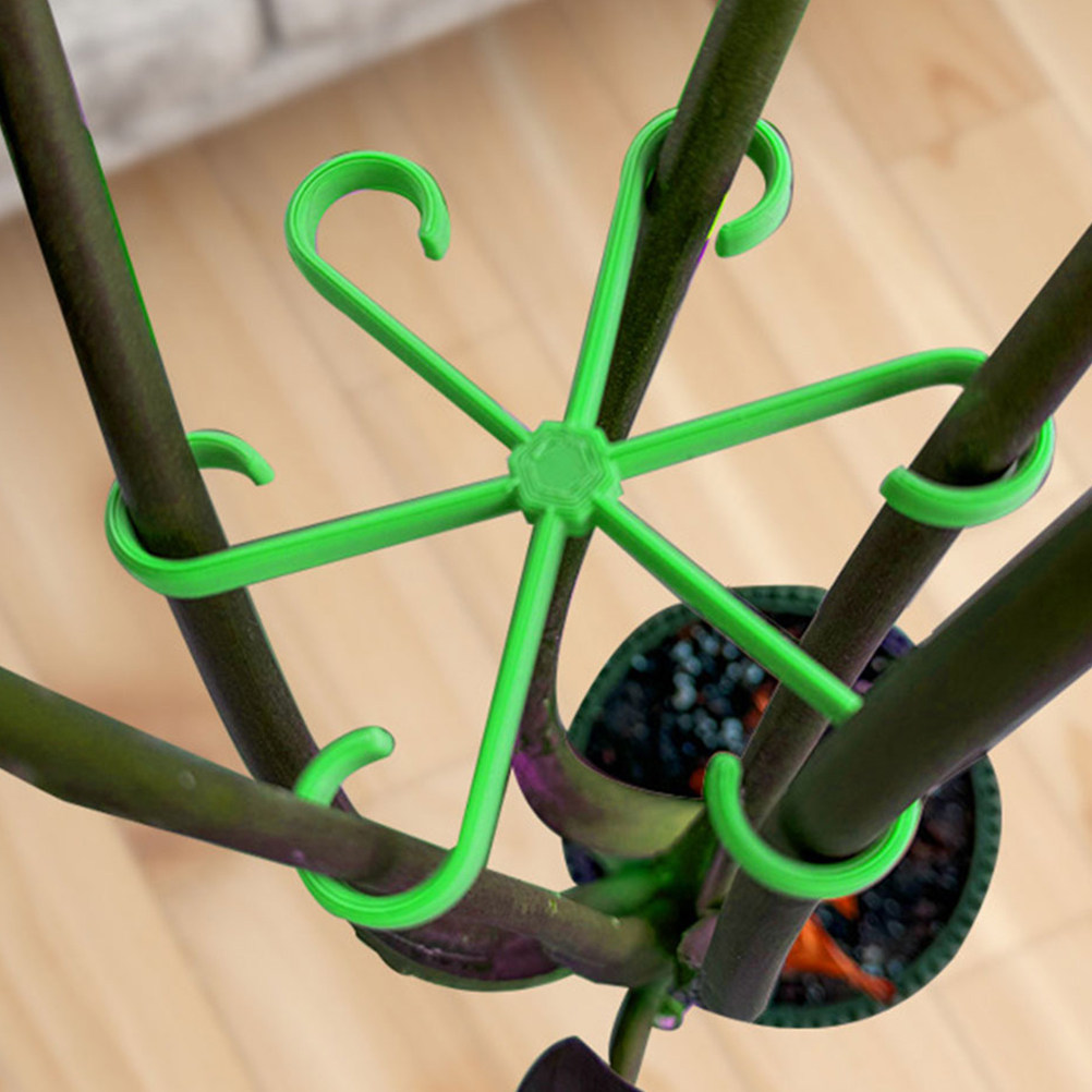 12 Clip di Supporto per Piante - Vine Climbing Plastic recensione e prezzo