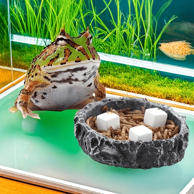 6 pezzi acquario calcio blocco - Calcium Powder Reptile recensione e prezzo